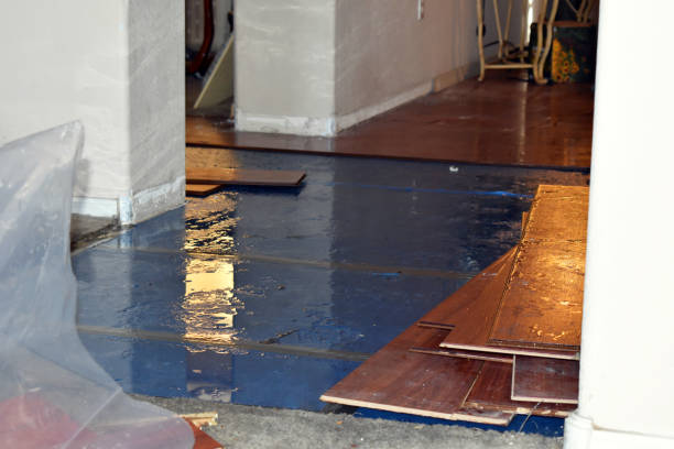 Professional Basement Flood Cleanup technician working in Belleair Beach, FL